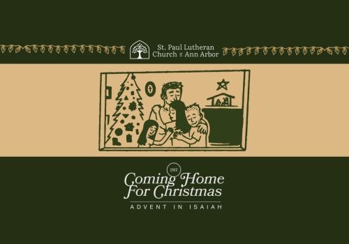 Coming Home for Christmas